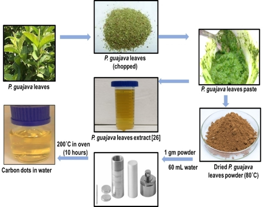 Publication image: Dash, Smruti Ranjan; Bag, Subhendu Sekhar; Golder Animes Kumar. Carbon dots derived from waste Psidium guajava leaves for electrocatalytic sensing of chlorpyrifos. Electroanalysis 34, 2022, 1141